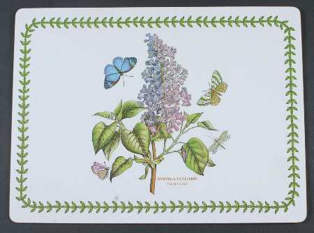 Botanic Garden Corkboard Placemat