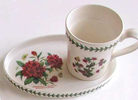 Botanic Garden Gardening Mug & Snack Set
