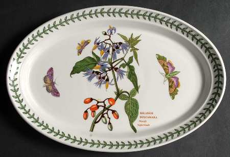 Botanic Garden 11" Oval Steak Platter