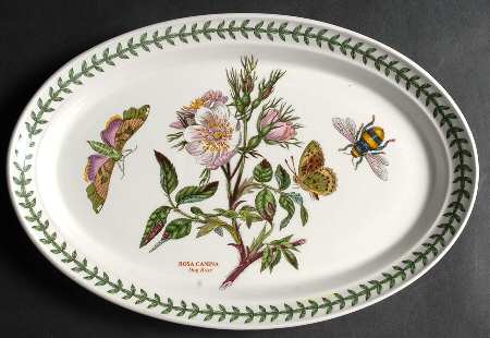 Botanic Garden 11" Oval Steak Platter