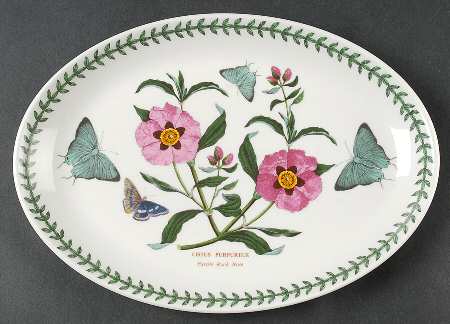 Botanic Garden 10" Oval Steak Platter