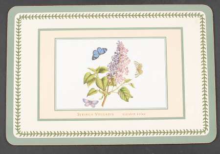 Botanic Garden 17" Large Corkboard Placemat W/Green Border