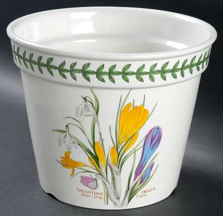 Botanic Garden 6" Flower Pot with Drain Hole