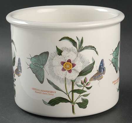Botanic Garden 5" Planter Pot