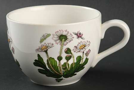Botanic Garden Jumbo Cup