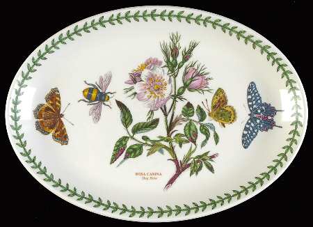 Botanic Garden 10" Oval Steak Platter