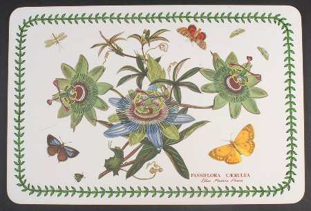 Botanic Garden 17" Large Corkboard Placemat