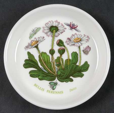 Botanic Garden Coaster