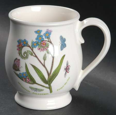 Botanic Garden Bristol Mug by Portmeirion