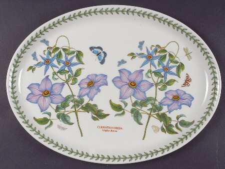 Botanic Garden 14" Oval Steak Platter