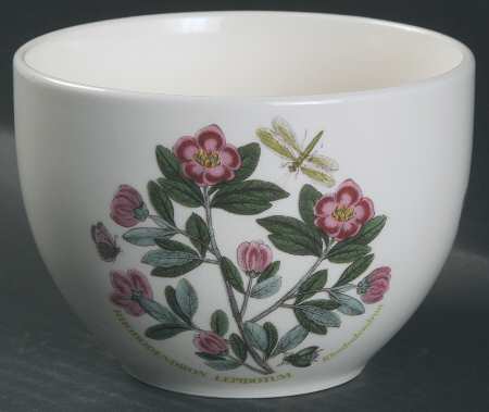 Botanic Garden Chili Bowl by Portmeirion