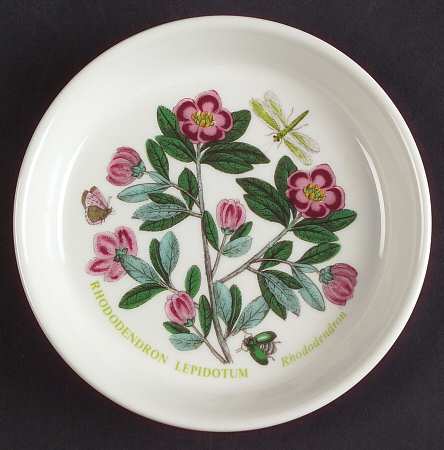 Botanic Garden Coaster