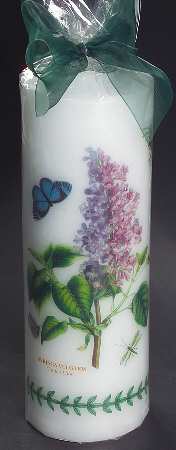 Botanic Garden 7" Pillar Candle (Wax)