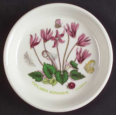 Botanic Garden Coaster