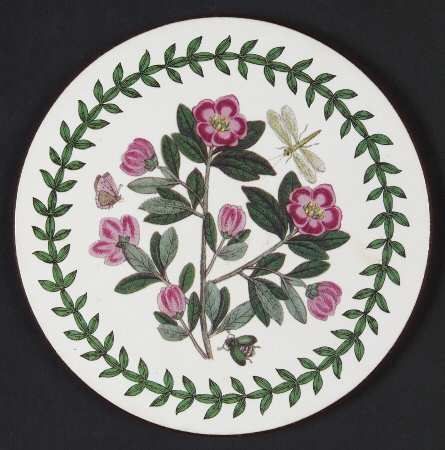 Botanic Garden Round Coaster Cork Back W/Thick Laurel Border