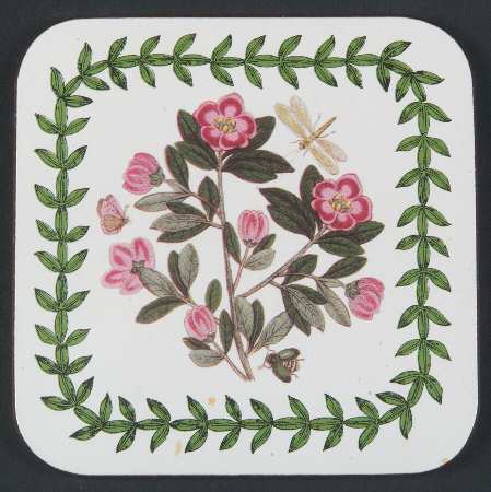 Botanic Garden Square Corkback Coaster