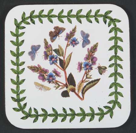 Botanic Garden Square Corkback Coaster