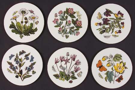 Botanic Garden Round Coaster Cork Back W/No Laurel Border (Set 6)