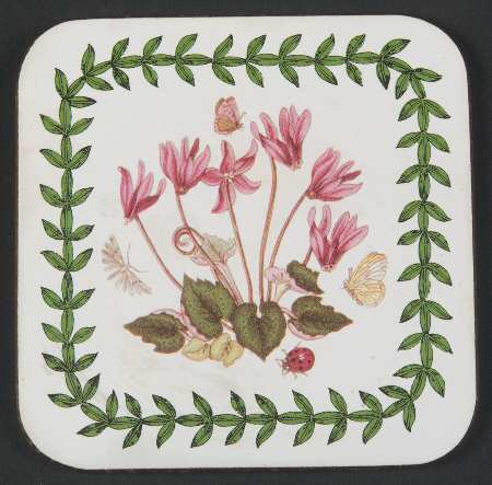 Botanic Garden Square Corkback Coaster