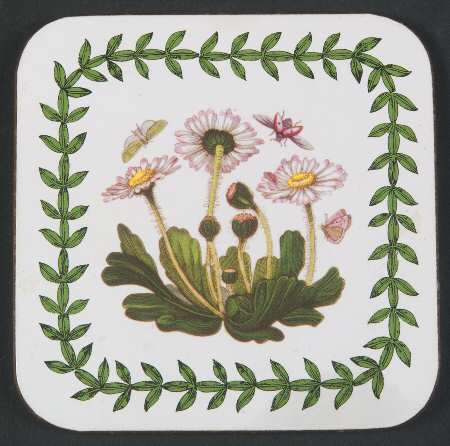 Botanic Garden Square Corkback Coaster