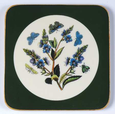 Botanic Garden Square Coaster W/Corkback & Green Border