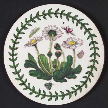 Botanic Garden Round Coaster Cork Back W/Thick Laurel Border