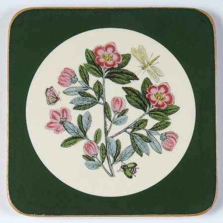 Botanic Garden Square Coaster W/Corkback & Green Border