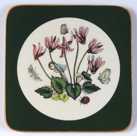 Botanic Garden Square Coaster W/Corkback & Green Border