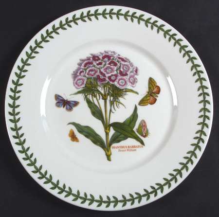 Botanic Garden Flat Dinner Plate with Large Rim