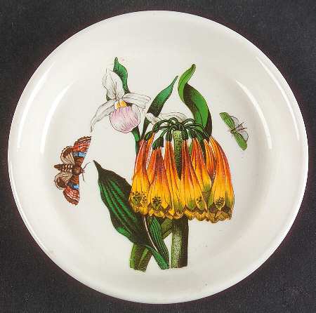 Botanic Garden Coaster