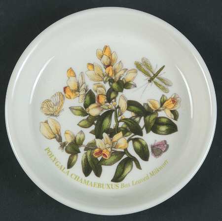 Botanic Garden Coaster