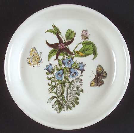 Botanic Garden Coaster