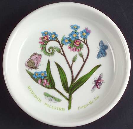 Botanic Garden Coaster