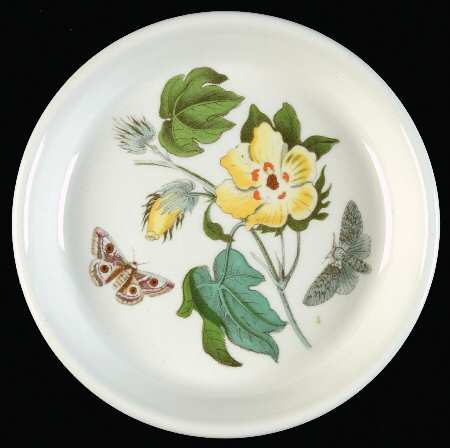 Botanic Garden Coaster