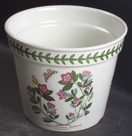 Botanic Garden 6" Flower Pot with Drain Hole