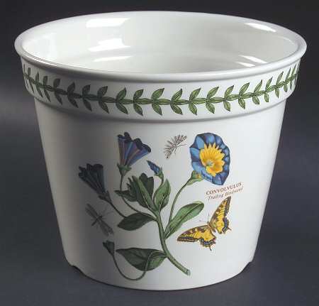 Botanic Garden 6" Flower Pot with Drain Hole