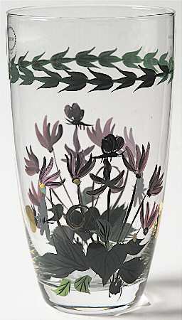 Botanic Garden 16 Oz Handpainted Glassware Highball