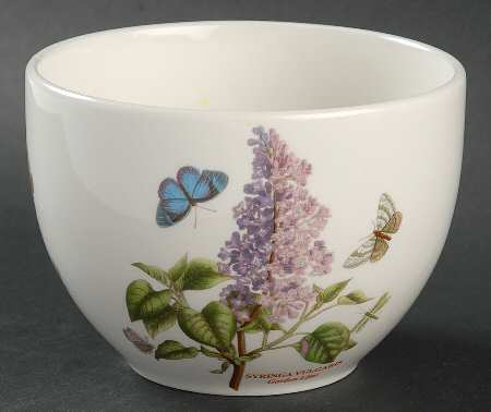 Botanic Garden Chili Bowl