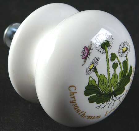 Botanic Garden Drawer/Cabinet Pull/Knob