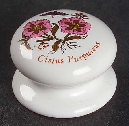 Botanic Garden Drawer/Cabinet Pull/Knob