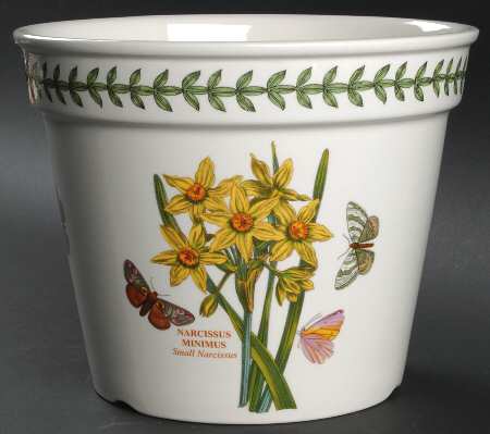 Botanic Garden 6" Flower Pot