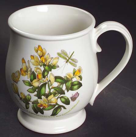 Botanic Garden Bristol Mug