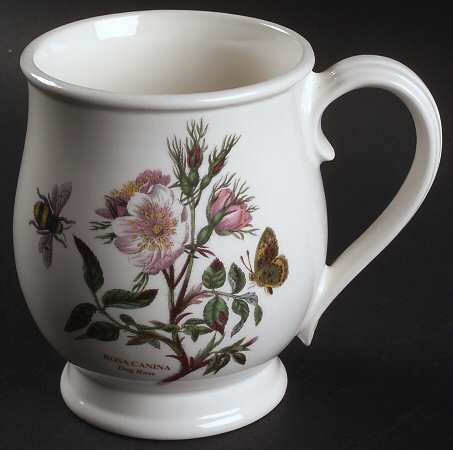 Botanic Garden Bristol Mug