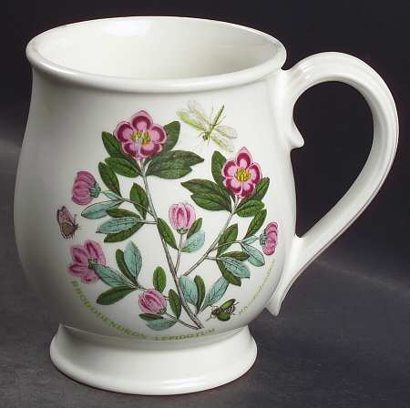 Botanic Garden Bristol Mug