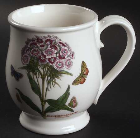 Botanic Garden Bristol Mug