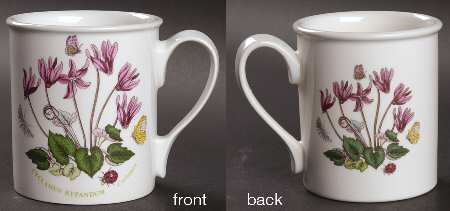 Botanic Garden Breakfast Mug
