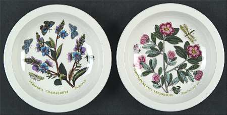 Botanic Garden (Set of 2) 4" Sovereign Individual Mini Dish/Bowl