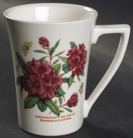 Botanic Garden Mandarin Mug