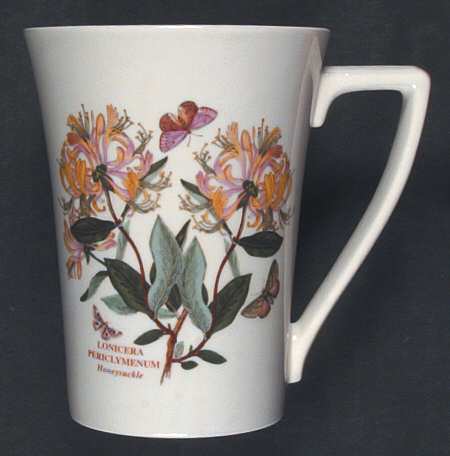 Botanic Garden Mandarin Mug