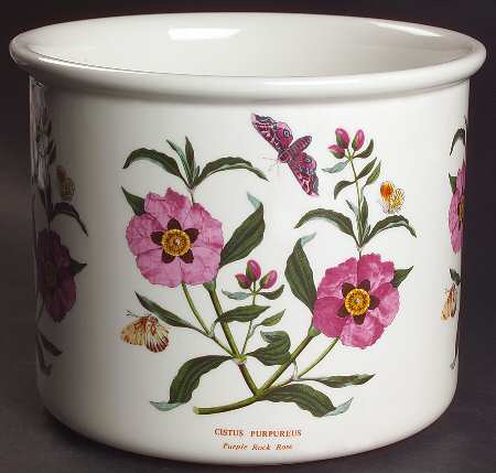 Botanic Garden 6" Planter Pot
